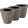 Ghiveci flori bucatarie, polipropilena, Keter Ivy Herbs, pentru ierburi aromatice, forma tripla, gri, fara farfurie, rezistent UV, 2.5 L