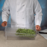 Container alimente policarbonat Cambro Camwear GN 1/1 