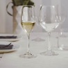 Set 6 pahare sampanie Bormioli Divino 240 ml