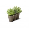Ghiveci flori bucatarie, polipropilena, Keter Ivy Herbs, pentru ierburi aromatice, forma tripla, gri, fara farfurie, rezistent UV, 2.5 L