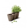 Ghiveci flori bucatarie, polipropilena, Keter Ivy Herbs, pentru ierburi aromatice, forma tripla, gri, fara farfurie, rezistent UV, 2.5 L
