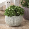 Ghiveci suspendat exterior polipropilena Keter Cozies, pentru gradina, terasa, balcon, foisor, pervaz, bej, rezistent UV si umiditate, cu lant detasabil, 3.2 L 