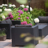 Scaun gradina, Polipropilena imitatie ratan, Keter, Provence, cotiere profilate, cu o perna, Spatar, Gri, 76x67x77 cm