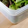 Container alimente polipropilena Cambro Camwear GN 1 1 H 10 cm 13 L