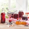 Borcan sticla si capac metalic Leifheit 250 ml 