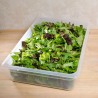 Container alimente polipropilena Cambro Camwear GN 1 1 H 10 cm 13 L