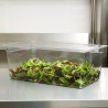 Container alimente policarbonat Cambro GN 1/1 Camwear H 20 cm 