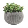 Ghiveci flori suspendat, gri, Keter Cozies, polipropilena, pentru balcon, foisor, pervaz, interiorul locuintei, lant detasabil, 3.2 L, 28x28x18 cm