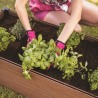 Jardiniera gradina, terasa si balcon, polipropilena, Keter Maple, pentru cultivarea florilor, plantelor aromatice si legumelor, forma dreptunghiulara, maro, rezistenta UV