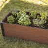 Jardiniera gradina, terasa si balcon, polipropilena, Keter Maple, pentru cultivarea florilor, plantelor aromatice si legumelor, forma dreptunghiulara, maro, rezistenta UV