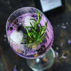 Set 6 pahare gin Bormioli America '20s 745 ml