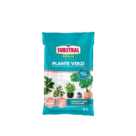 Substrat de Pamant pentru plante verzi mici Substral 3 L