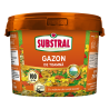 Ingrasamant Gazon de Toamna Substral 5 Kg