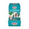 Ingrasamant tablete pentru plante de interior/ balcon Substral 3 buc x 80 gr