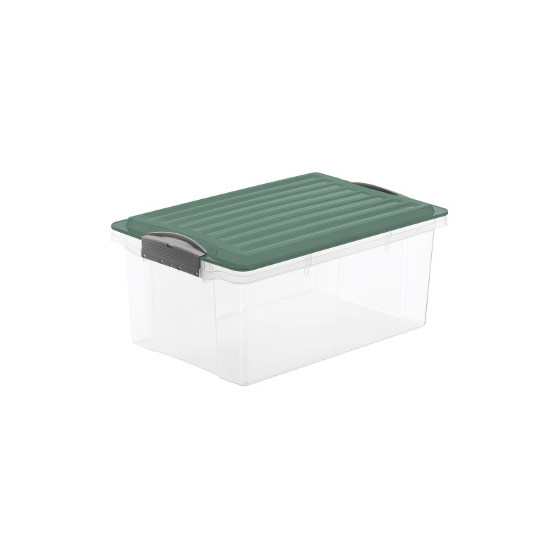 Poze Cutie depozitare plastic transparenta cu capac verde Rotho Compact 13L