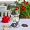 Platou sticla cu picior si capac Pasabahce Villa Patisserie
