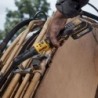 Masina de insurubat unghiulara DeWalt DCF510N, cu clichet, Naked, 18 V