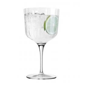 Set 6 pahare gin Luigi Bormioli Sloe 600 ml