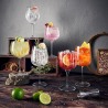 Set 6 pahare gin Luigi Bormioli Sloe 600 ml