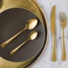 Cutit baza inox Amefa Austin Gold 
