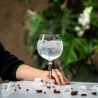 Pahar cocktail Onis Spksy Gin Tonic 580 ml 