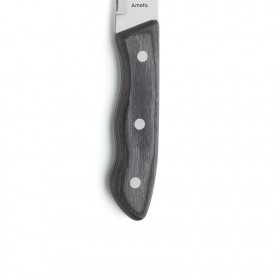 Set 3 cutite inox pentru friptura Amefa Hercule