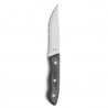 Set 3 cutite inox pentru friptura Amefa Hercule 