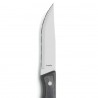 Set 3 cutite inox pentru friptura Amefa Hercule 