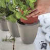Ghiveci flori bucatarie, polipropilena, Keter Ivy Herbs, pentru ierburi aromatice, forma tripla, gri, fara farfurie, rezistent UV, 2.5 L