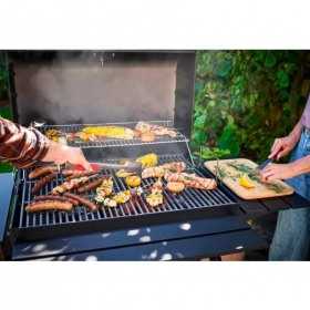 Gratar pe carbuni Char-Broil 140253