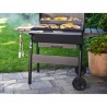 Gratar pe carbuni Char-Broil 140253 