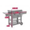 Gratar pe gaz tip plancha, grill si cuptor de pizza cu 2 arzatoare Char-Broil Versa-Tile Griddle 140241 