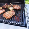 Tava de carbuni Made2Match 38 x 44 cm pentru gratar Professional Char-Broil 140070