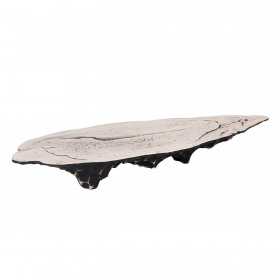 Platou asimetric portelan Pura Sangre Teide 59 x 20 x 6 cm