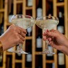 Pahar cocktail coupe Onis Perfection 245 ml 