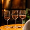 Pahar vin rosu Onis Endura 500 ml 
